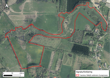 Oversigtskort over beliggenheden af det anlagte vådområdeprojekt ved Tværskov Mølle Å nedstrøms Gungemosen