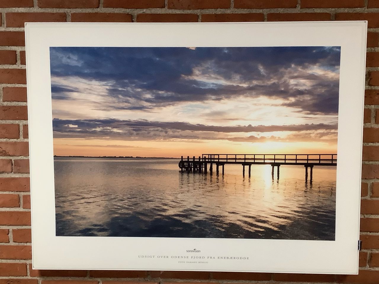 ”Udsigt over Odense Fjord fra Enebærodde”