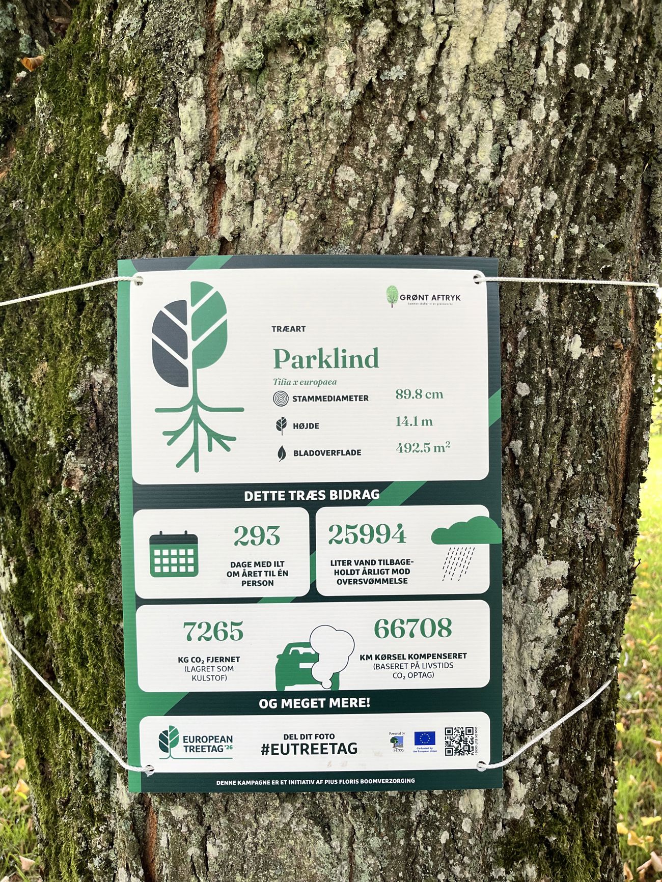 Dekorativt billede