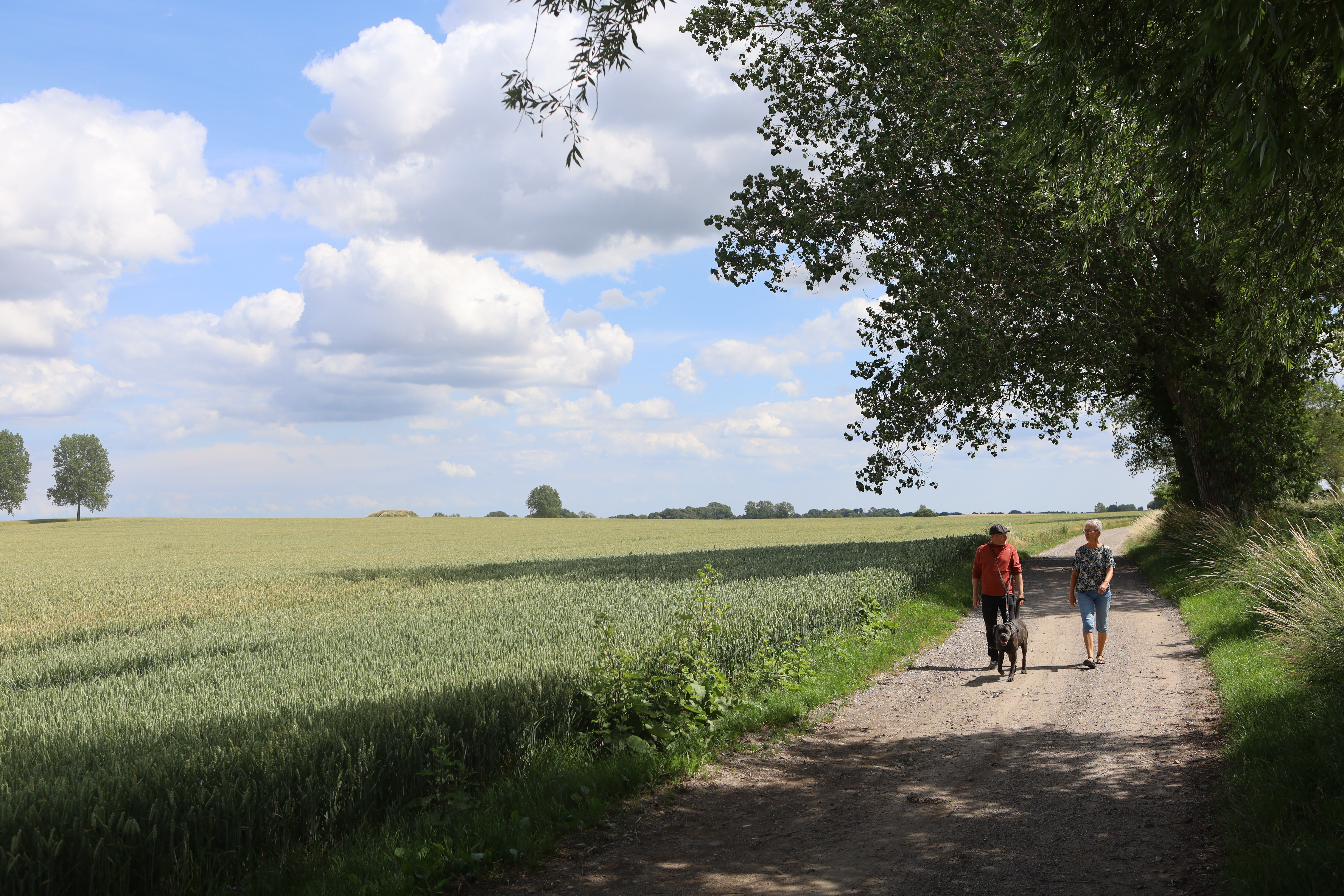 To personer på gåtur med hund nær Skamby på Nordfyn.