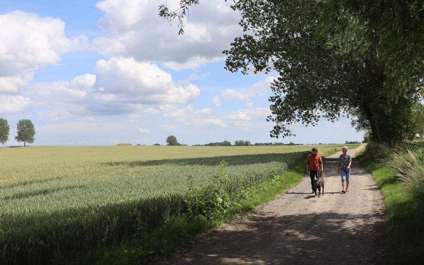 To personer på gåtur med hund nær Skamby på Nordfyn.