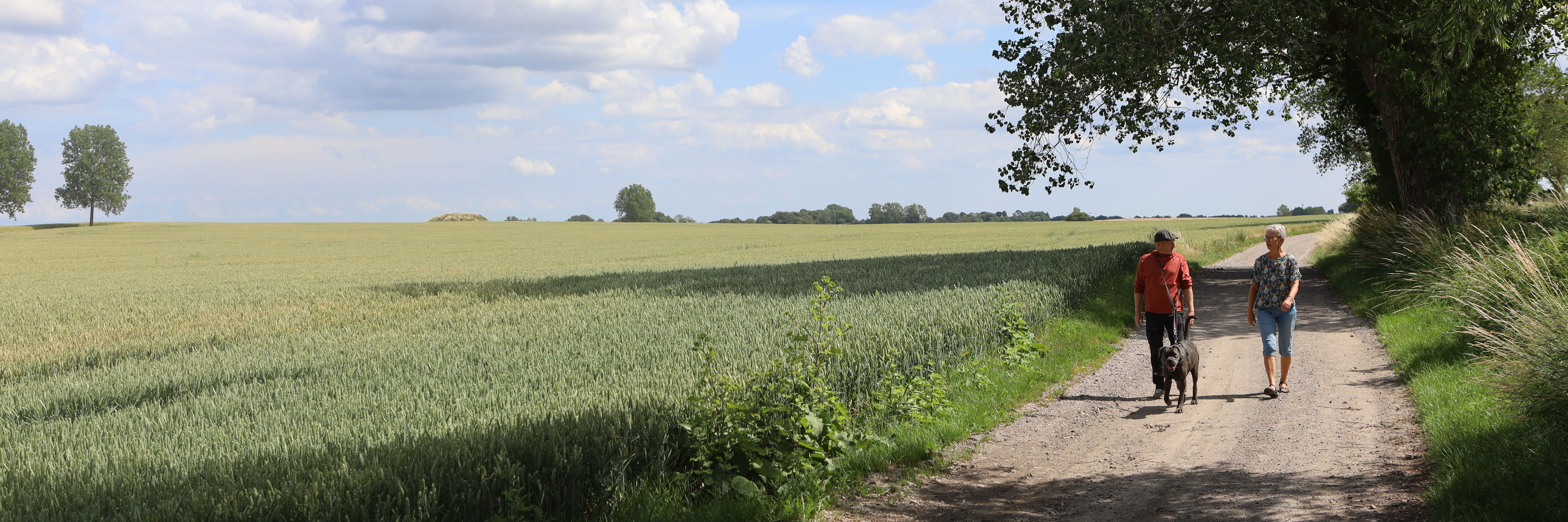 To personer på gåtur med hund nær Skamby på Nordfyn.