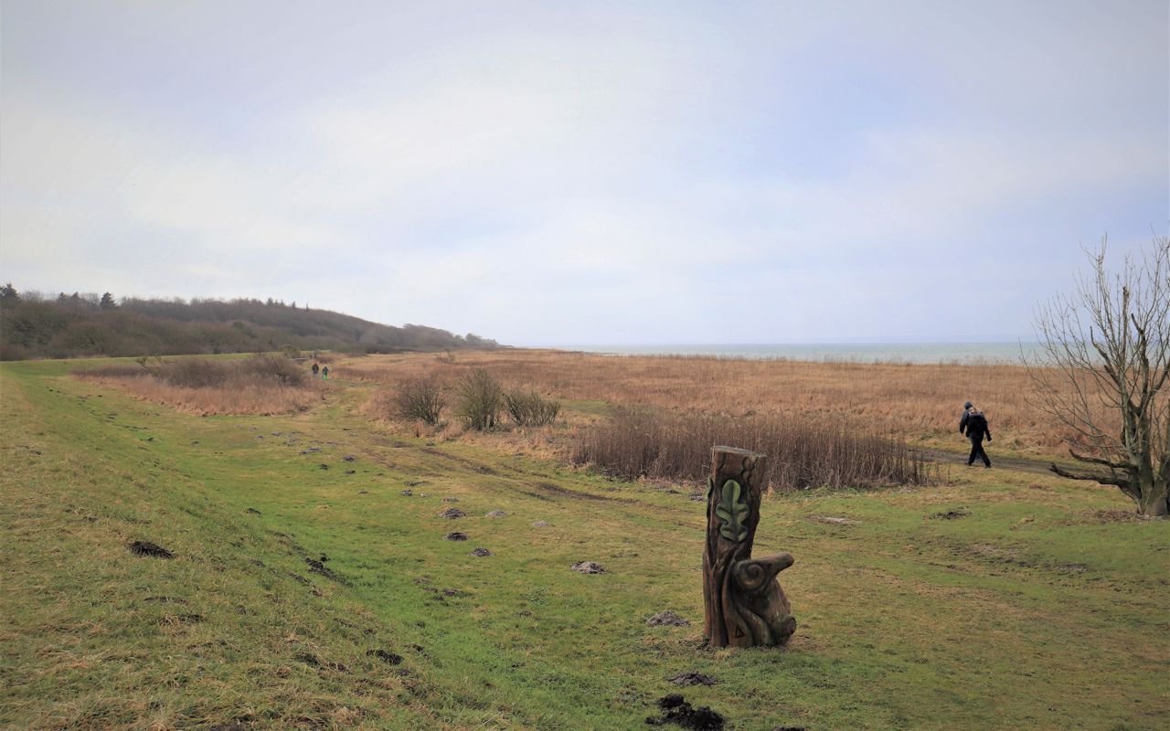 Naturområde ved Skåstrup