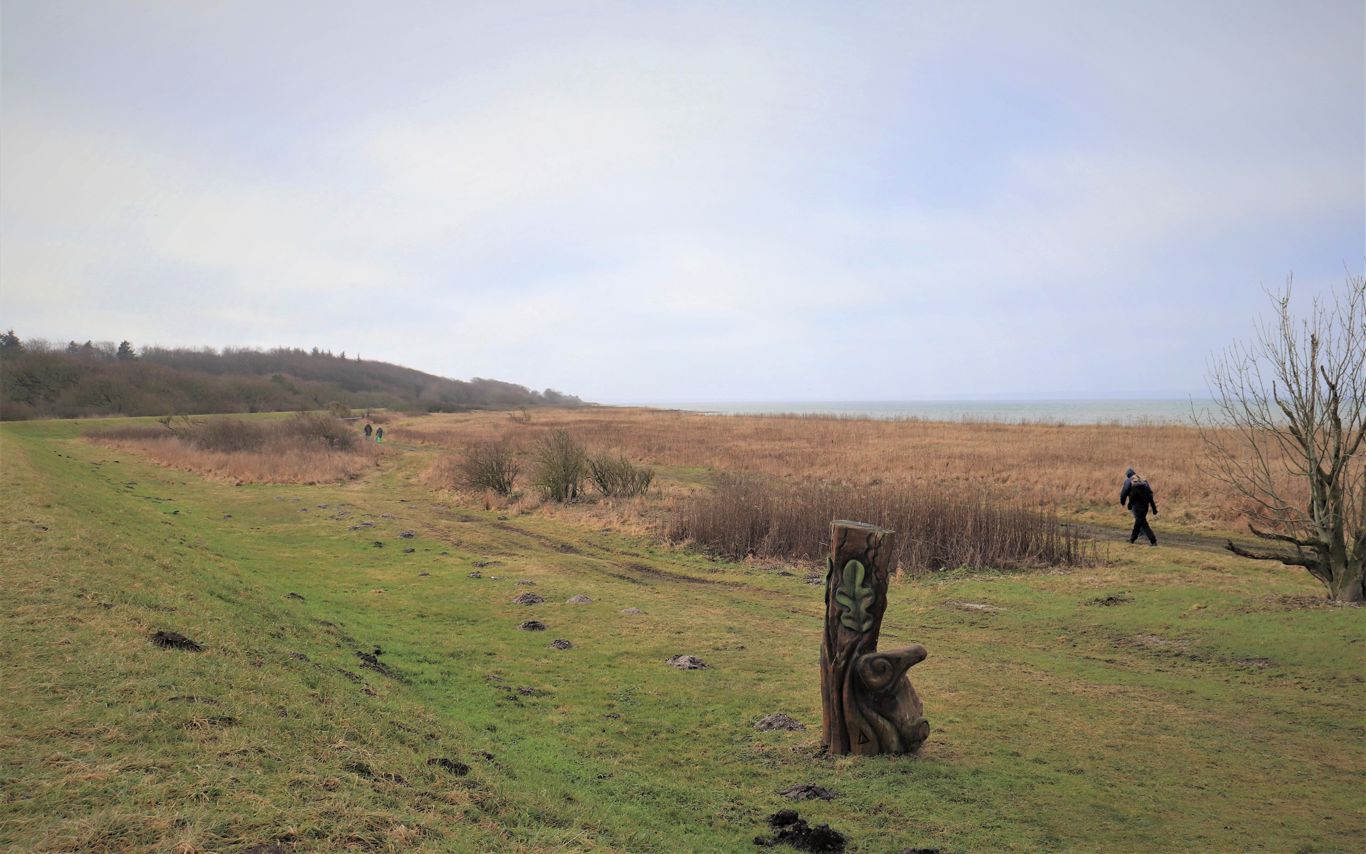 Naturområde ved Skåstrup