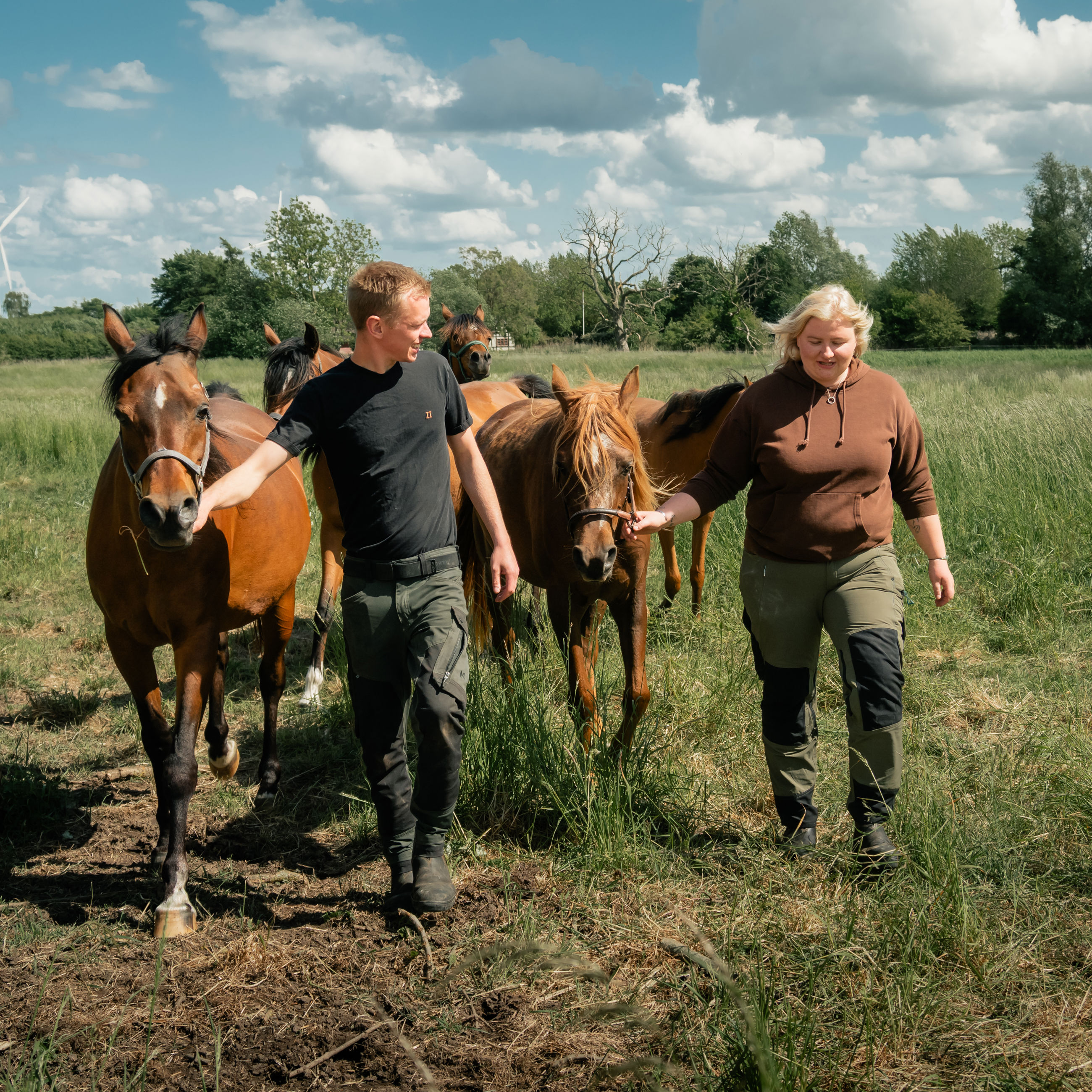 Billede af par fra Uggerslev, der trækker deres heste i fold.
