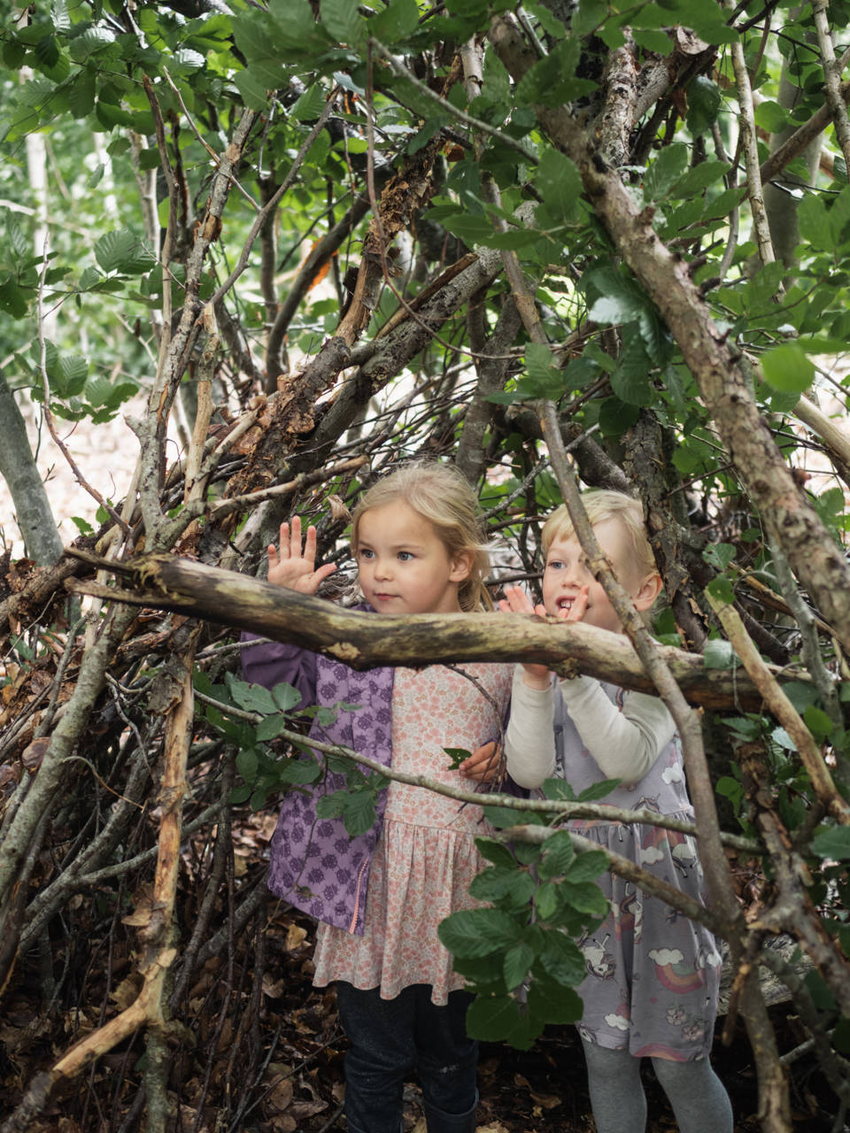 To små piger, der bygger hule i en skov.