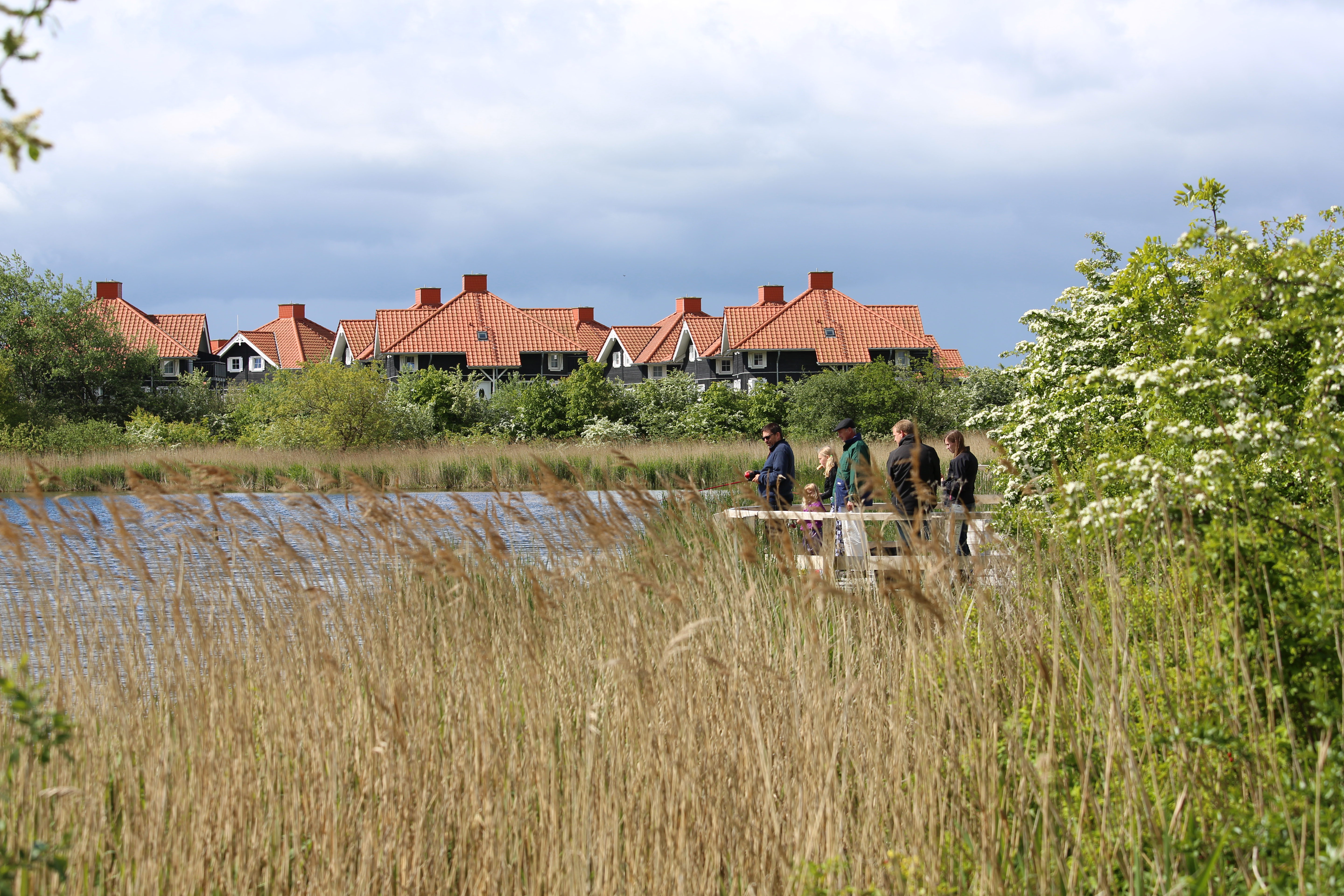 Billede af Barfods Dam i Bogense, hvor der blandt andet kan fiskes.