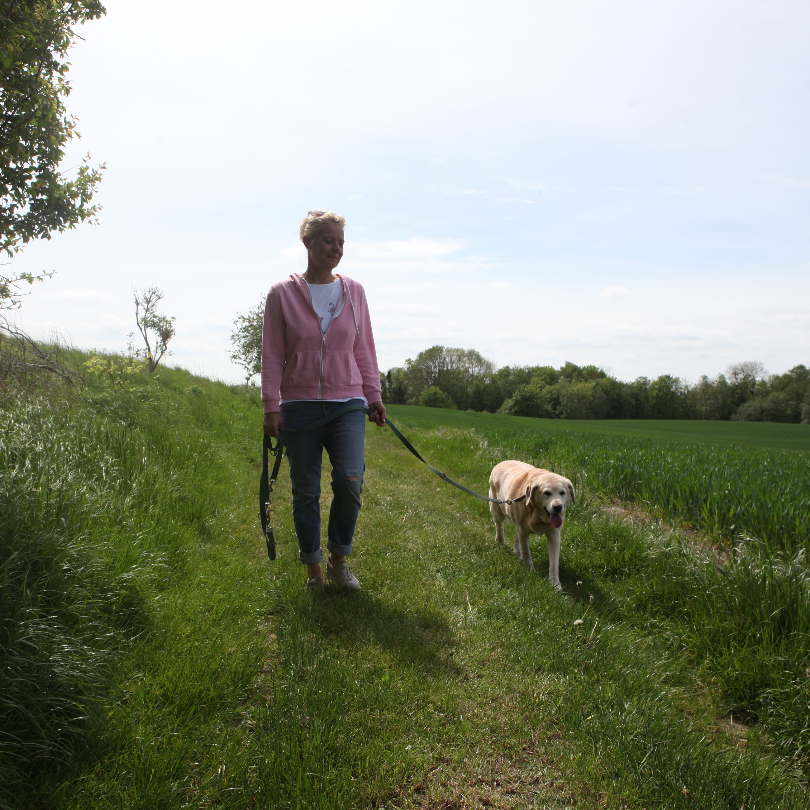 Kvinde, der lufter hund.