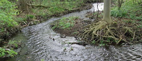 Billede af et vandløb