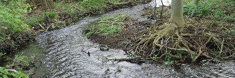 Billede af et vandløb