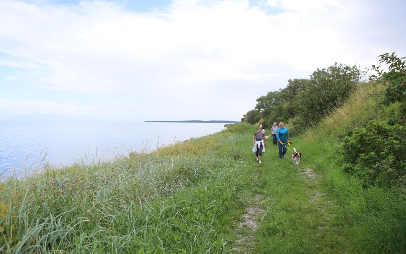 Lokale på gåtur ved Nørreby Hals på Nordfyn