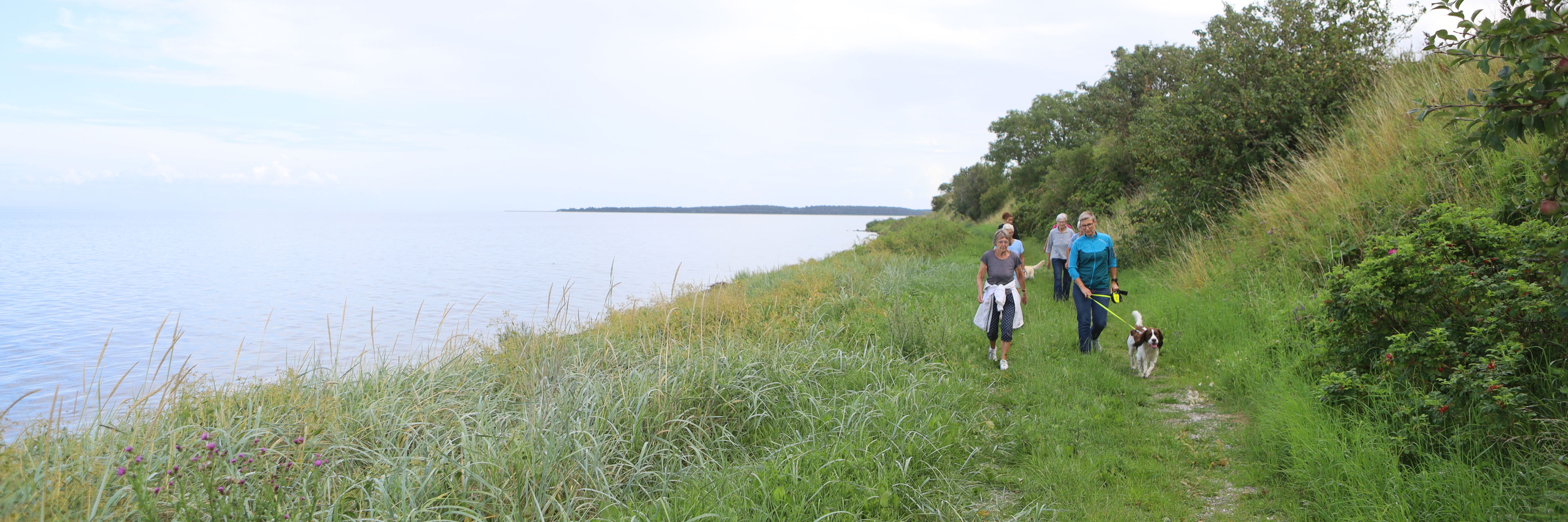 Lokale på gåtur ved Nørreby Hals på Nordfyn