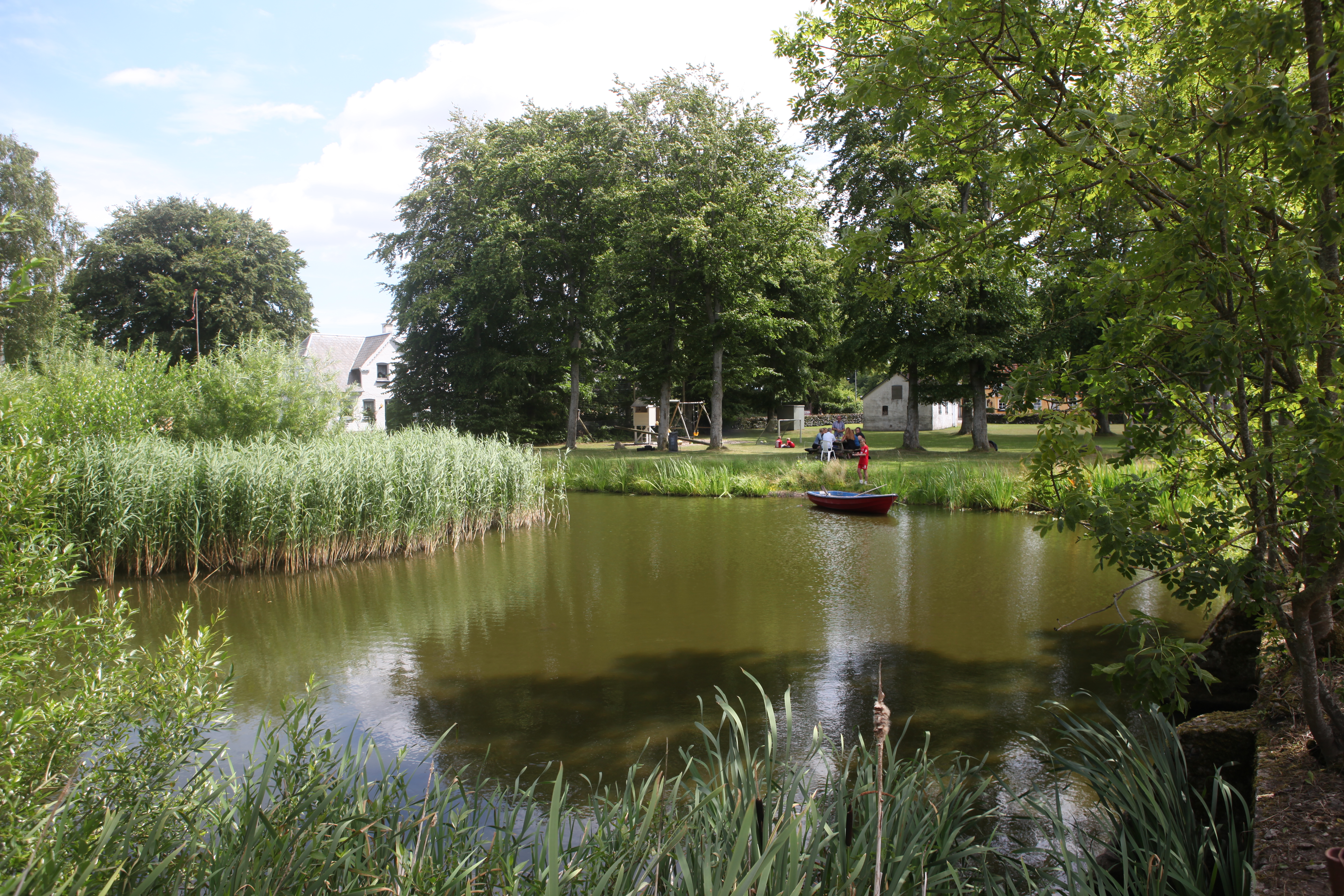 Gadekæret i lokalområdet Jullerup-Melby.