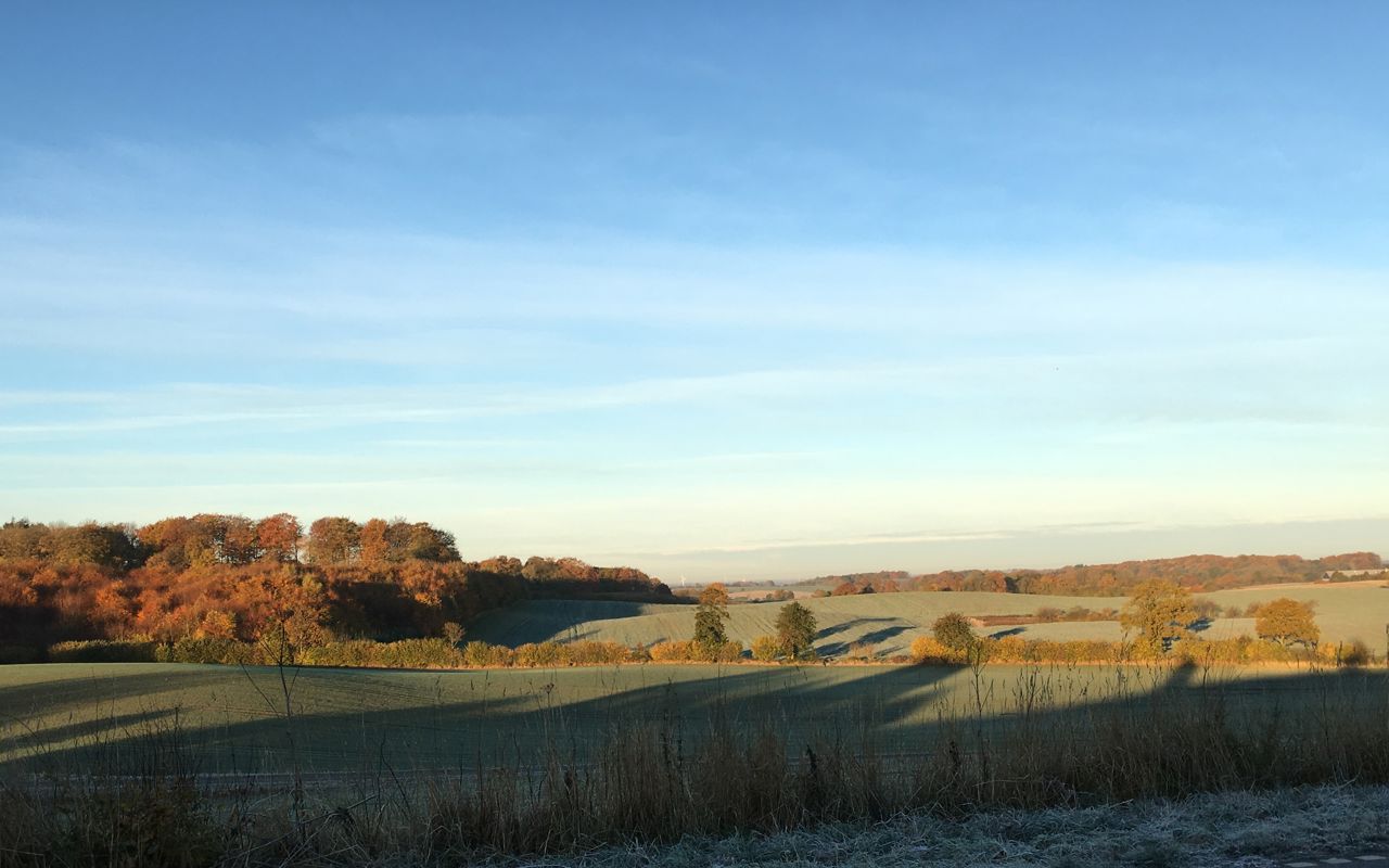 Billede af landskabet i området ved Paddesø på Nordfyn.