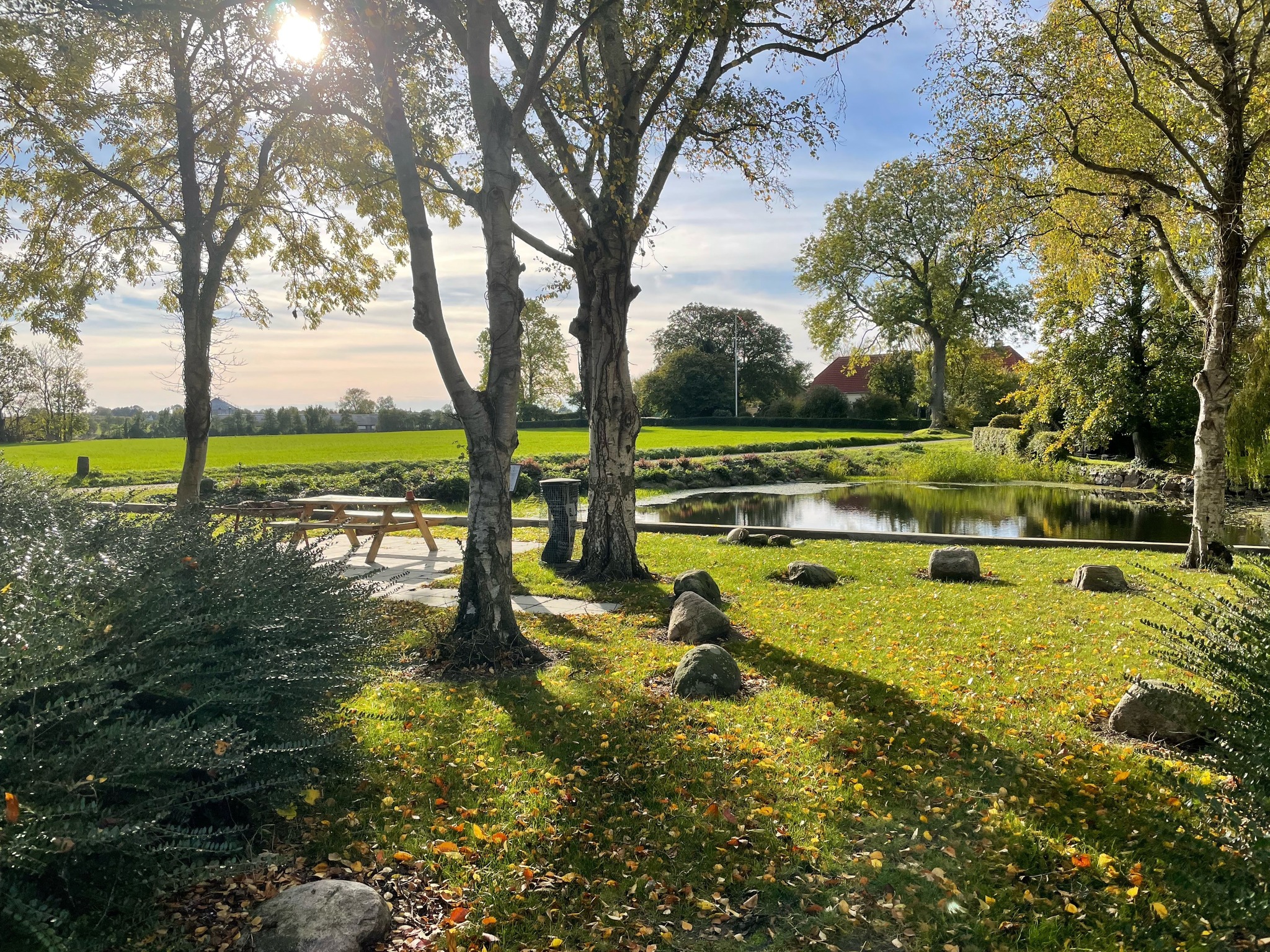 Gadekæret i Fremmelev
