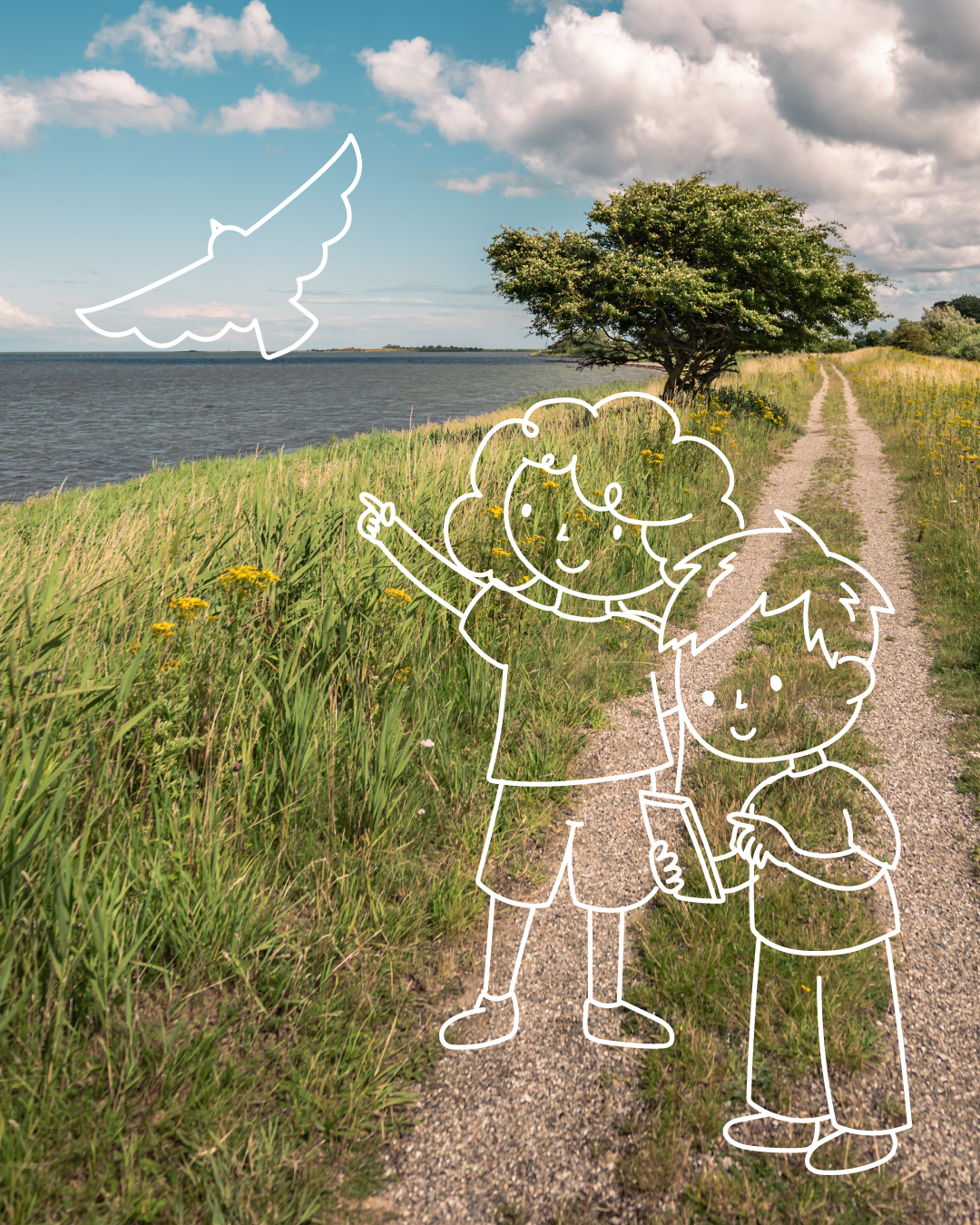 Grafisk billede af undervisningsforløb ved Gyldensteen Strand på Nordfyn
