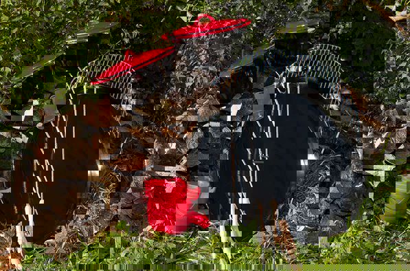 Naturkasse fjordensdag