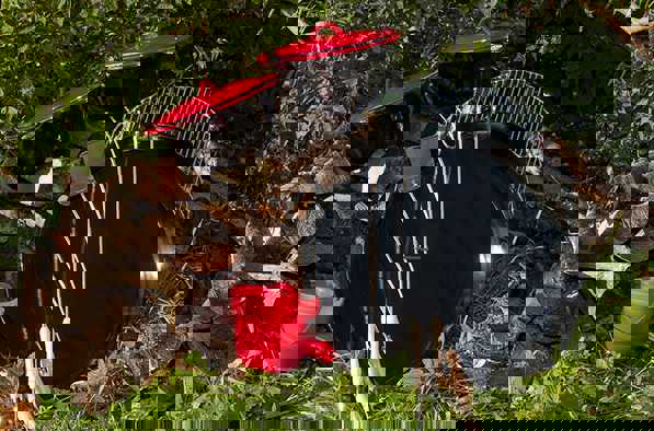 Naturkasse fjordensdag