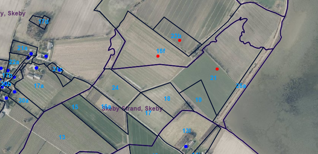 Luftfoto 2020. Matriklernes placering er angivet med rød.