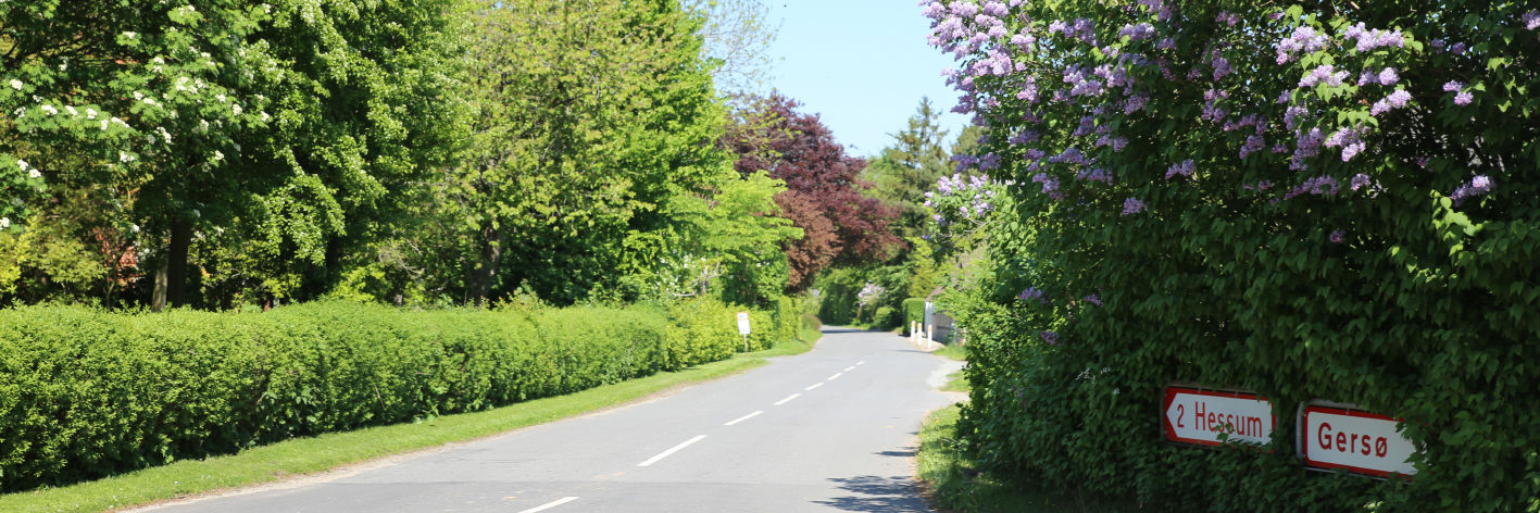 Gade i landsby med byskilte til Hessum og Gersø