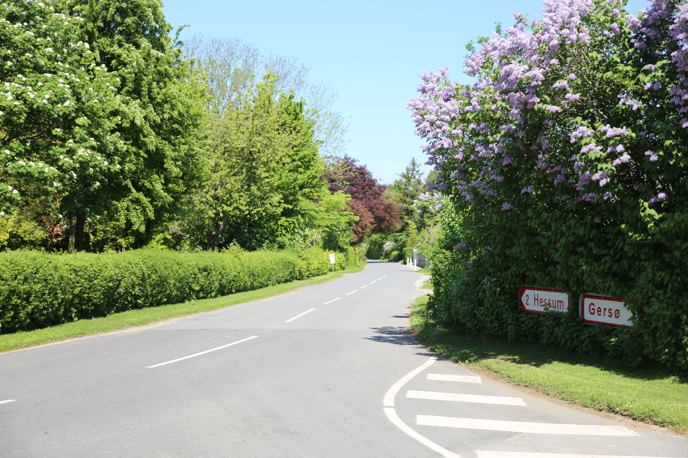 Gade i landsby med byskilte til Hessum og Gersø