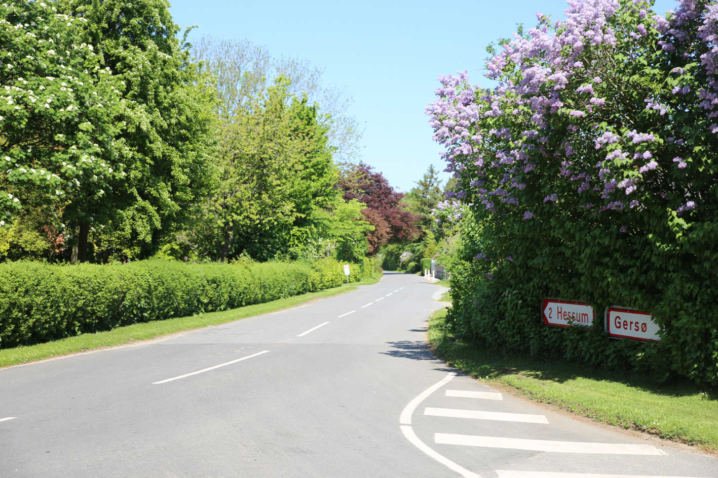 Gade i landsby med byskilte til Hessum og Gersø