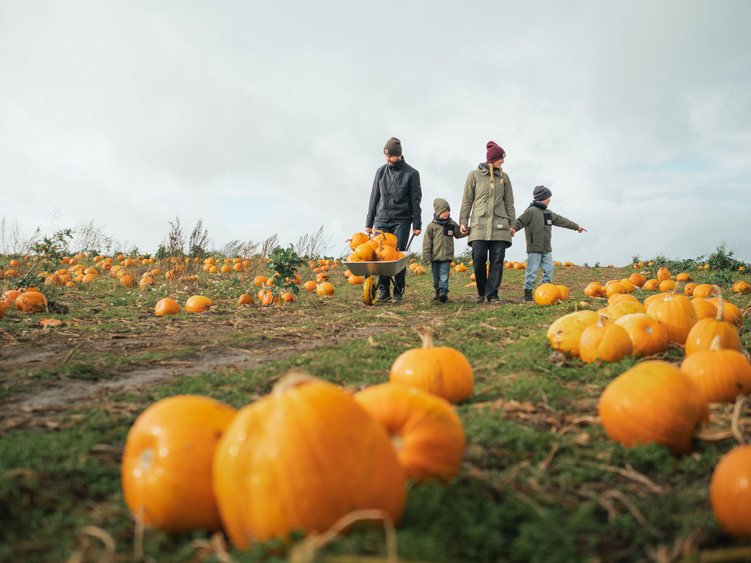 Topbillede - dekorativt