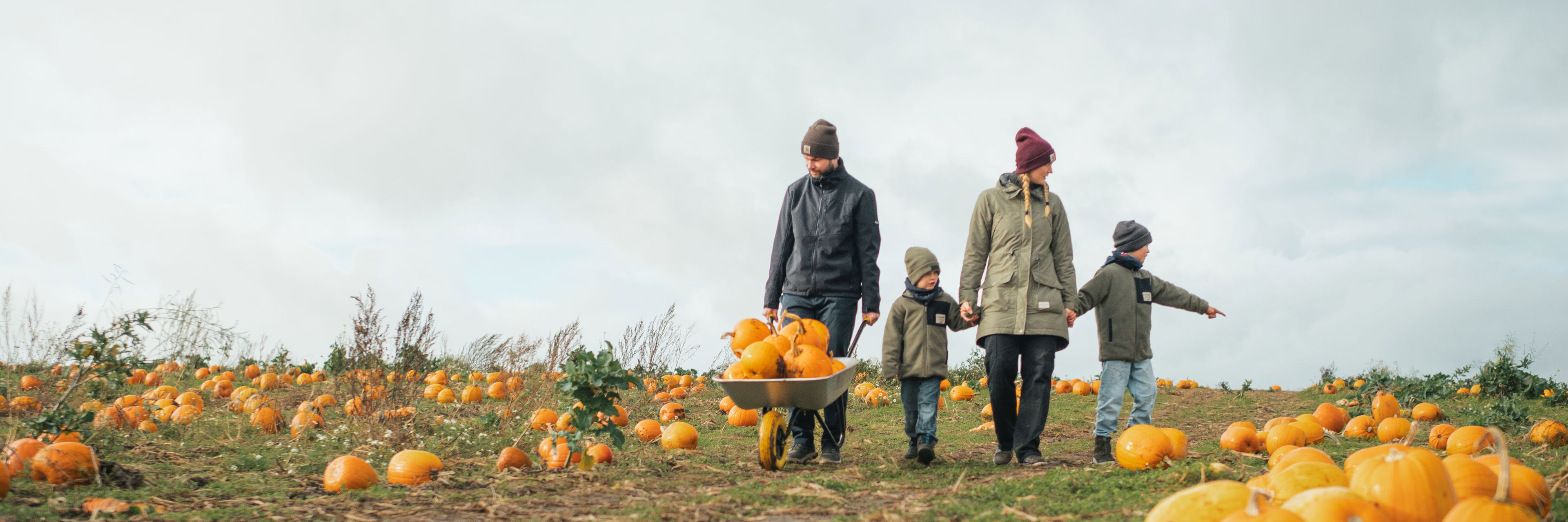 Topbillede - dekorativt