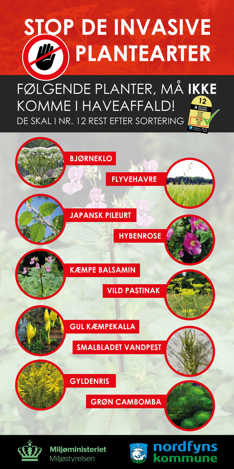 Billede med invasive plantearter: bjørneklo, flyvehare, japansk pileurt, Hybenrose, kæmpe balsamin, vild pastinak, gul kæmpekalla, smalbladet vandpest, gyldenris, grøn cambomba.