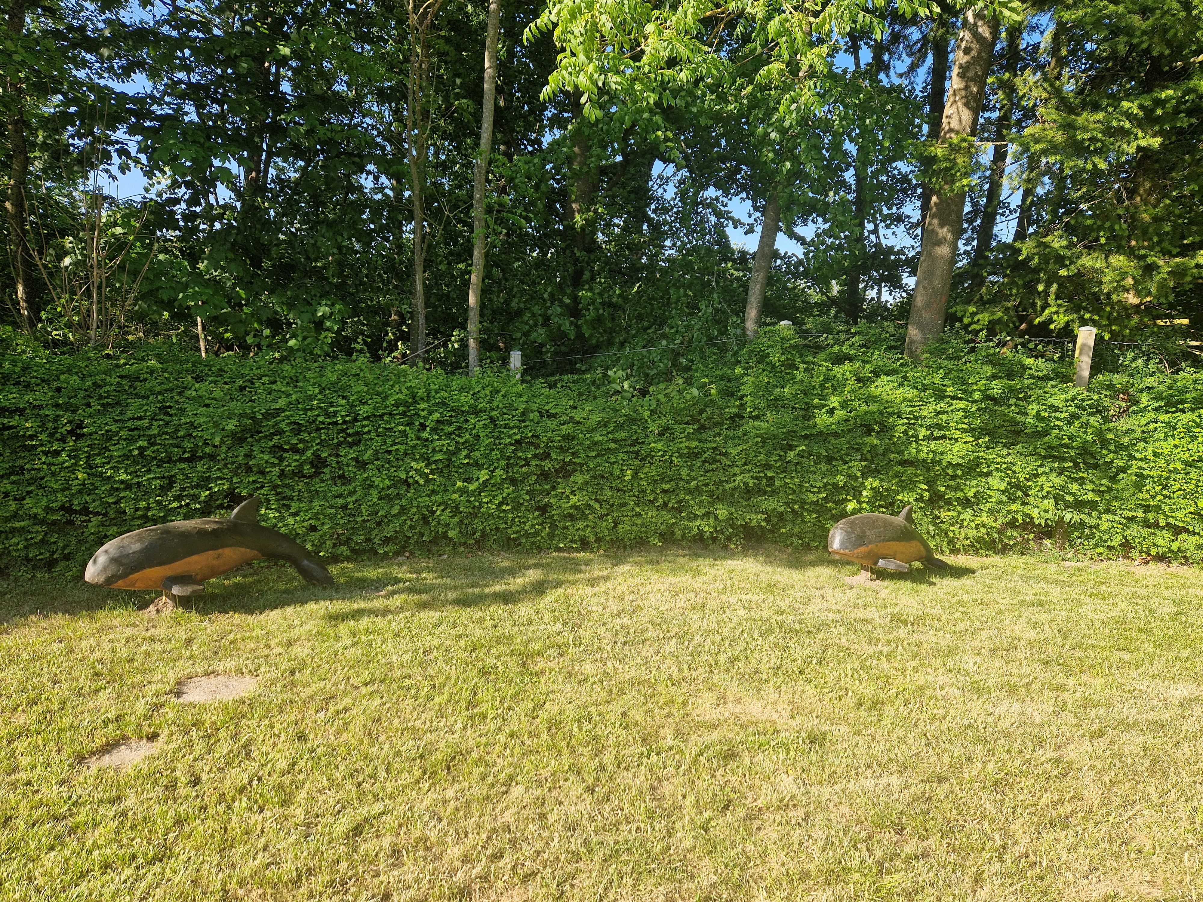 Træskulpturer, der forestiller marsvin