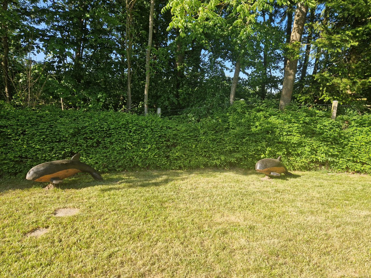 Træskulpturer, der forestiller marsvin