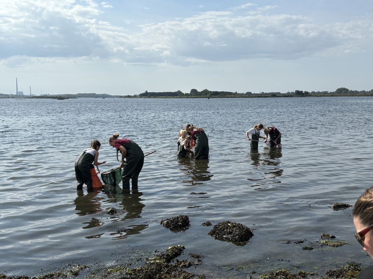 Børn og unge udforsker livet under vandet ved Fjordens Dag ved Klintebjerg.