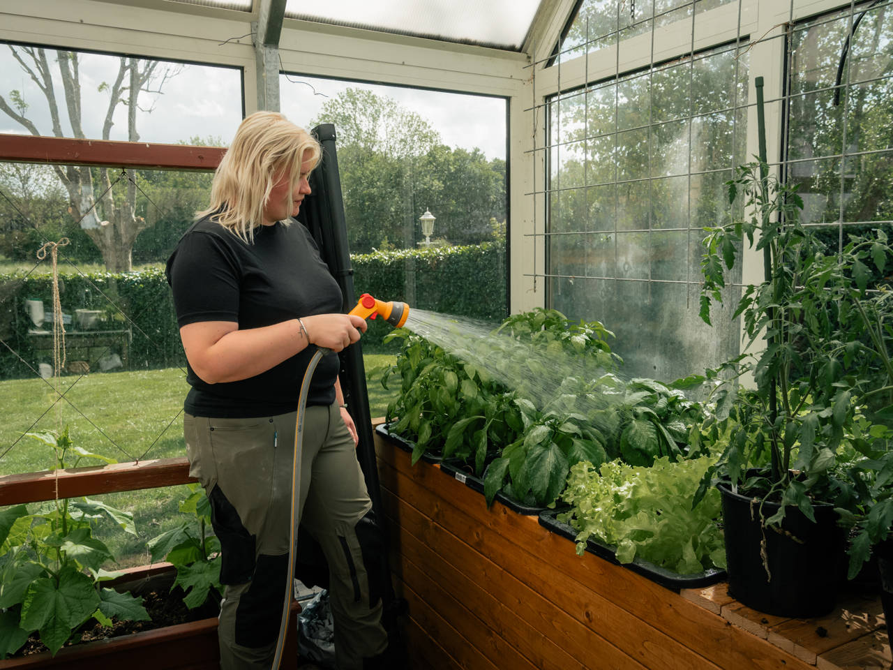 Kvinde, der vander frugt og grønt i et drivhus.