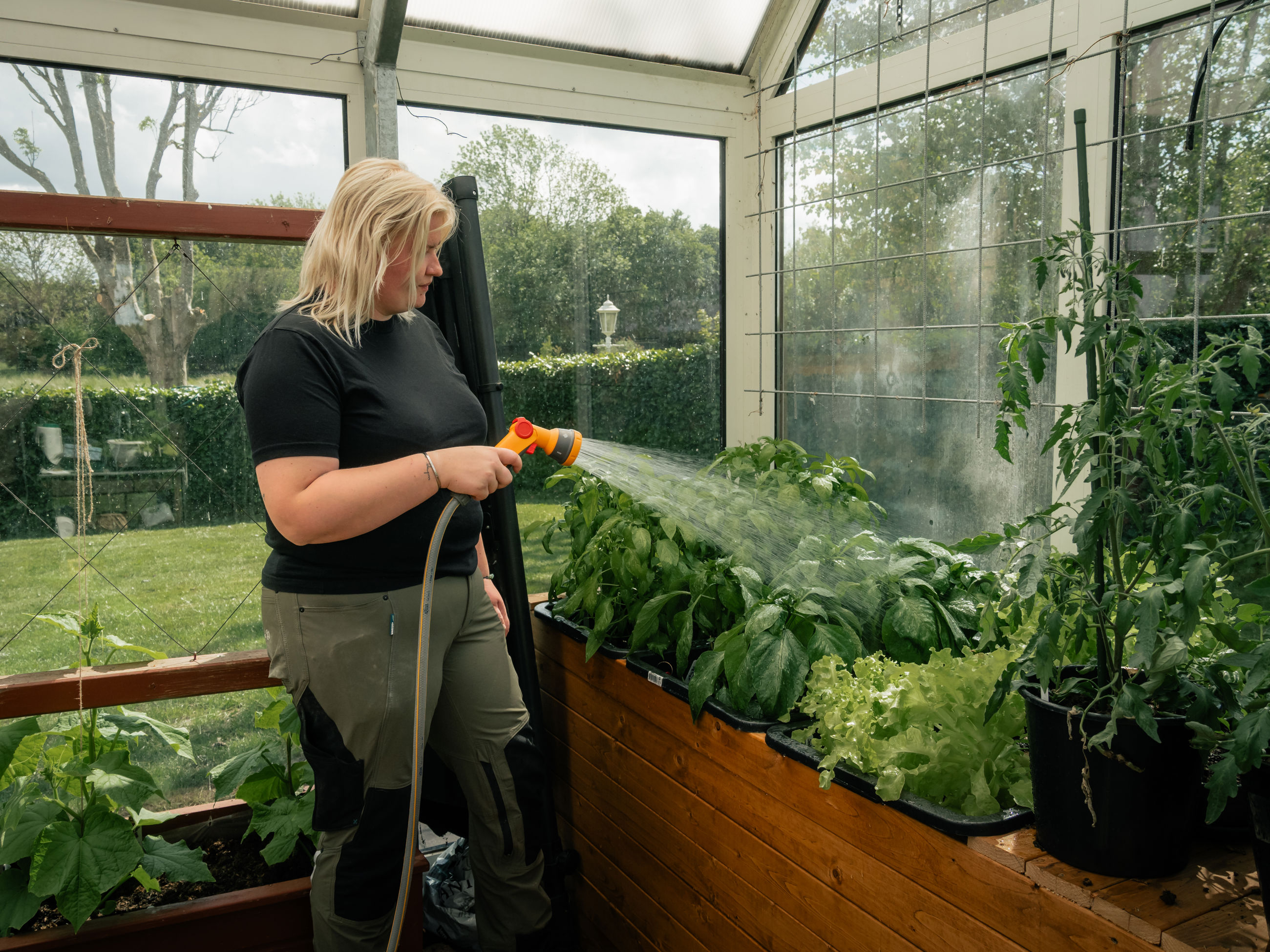 Kvinde, der vander frugt og grønt i et drivhus.