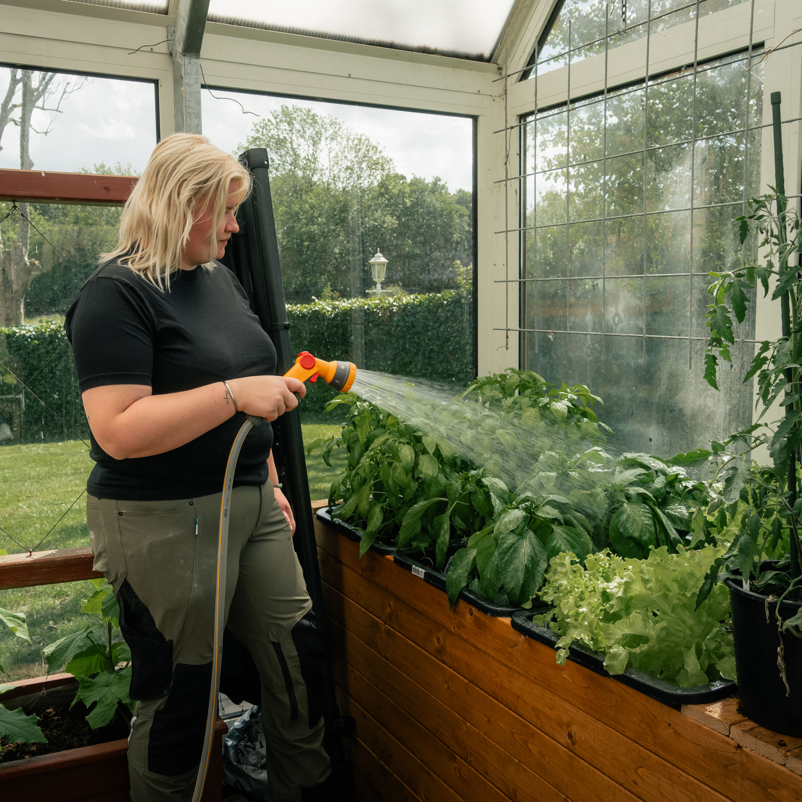 Kvinde, der vander frugt og grønt i et drivhus.