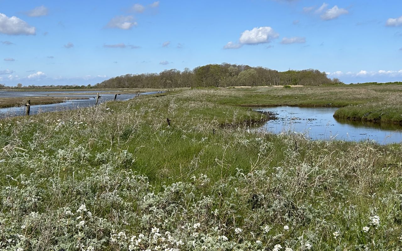 Vinterbillede fra Flyvesandet