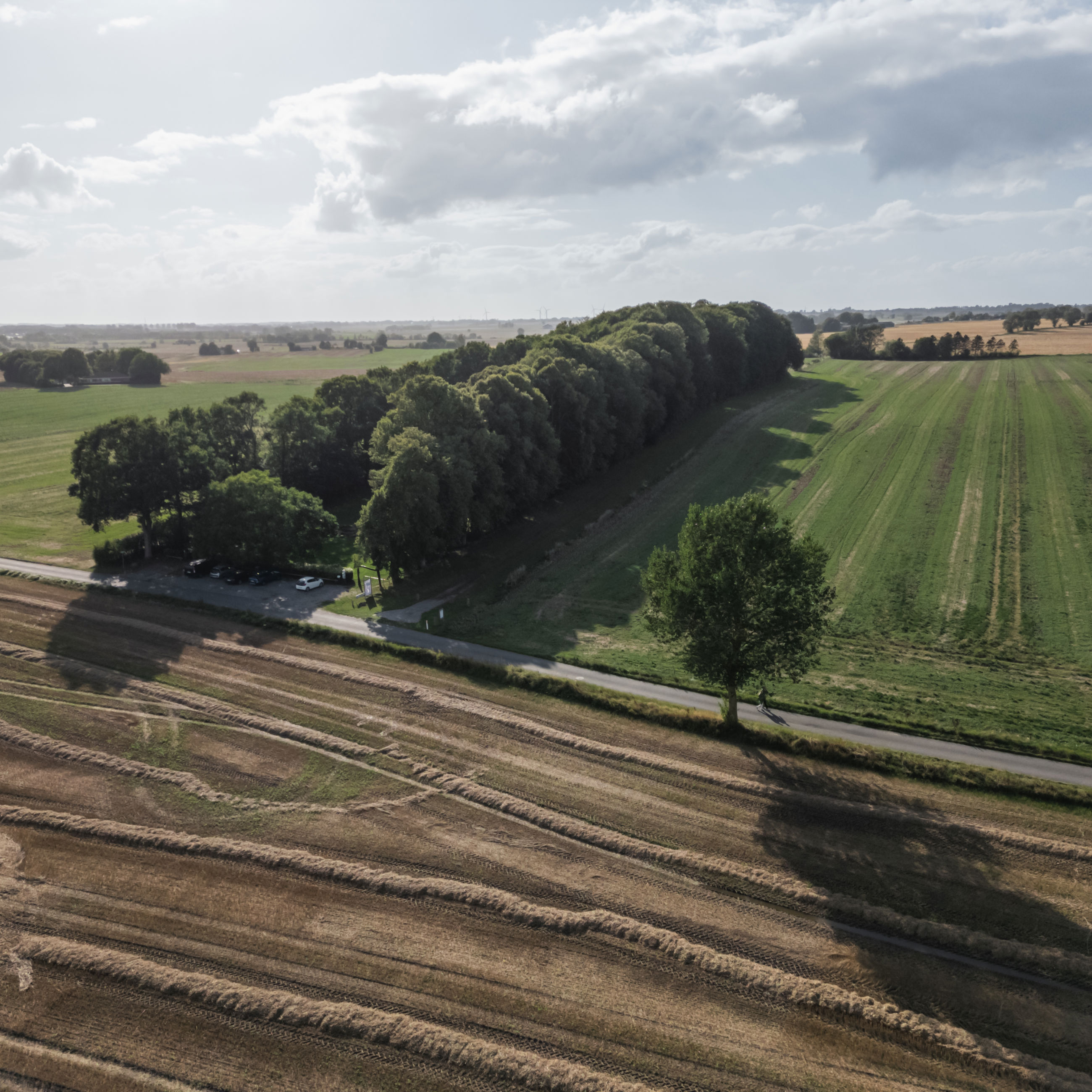 Dronebillede af Glavendruplunden på Nordfyn.