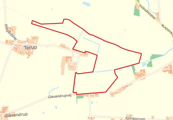 Projektgrænsen til forundersøgelsen til et vådområde øst for Torup er markeret med rødt.